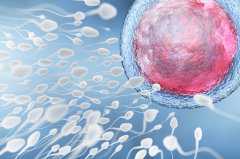 试管婴儿胚胎解冻后出现降级的原因是什么？
